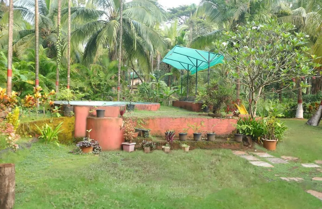 Villa 24 3Bhk Pool Villa-1